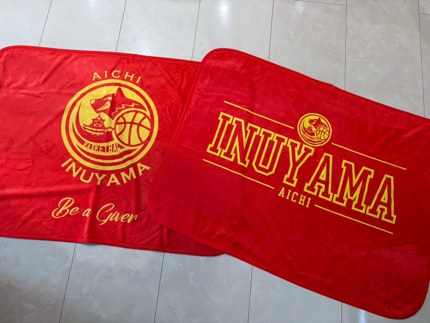 #389 論理と感情と行動