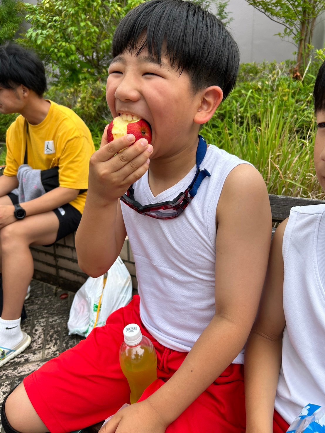 #530 三度の飯より