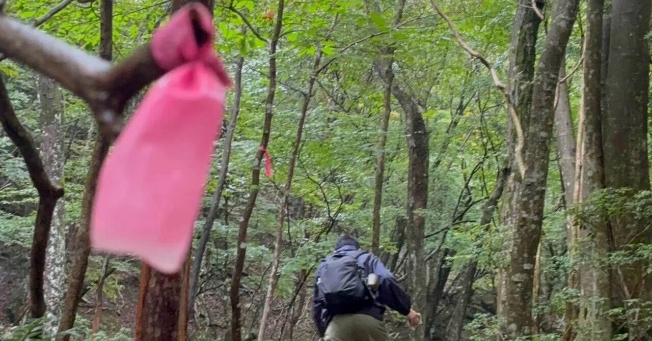 #703 景色が見えないからこそ
